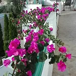 Apartmán Baci Ksamil