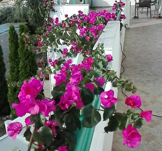 Apartmán Baci Ksamil