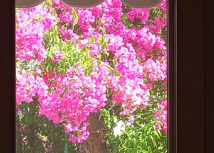 巴契公寓 公寓 *