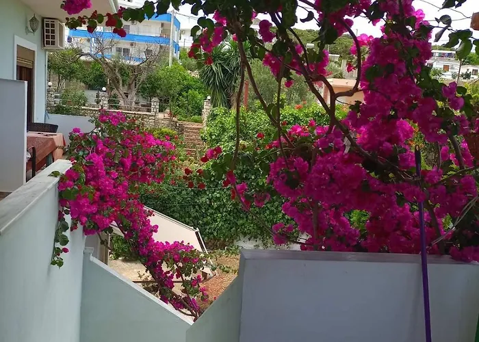 巴契公寓 * 卡萨米尔