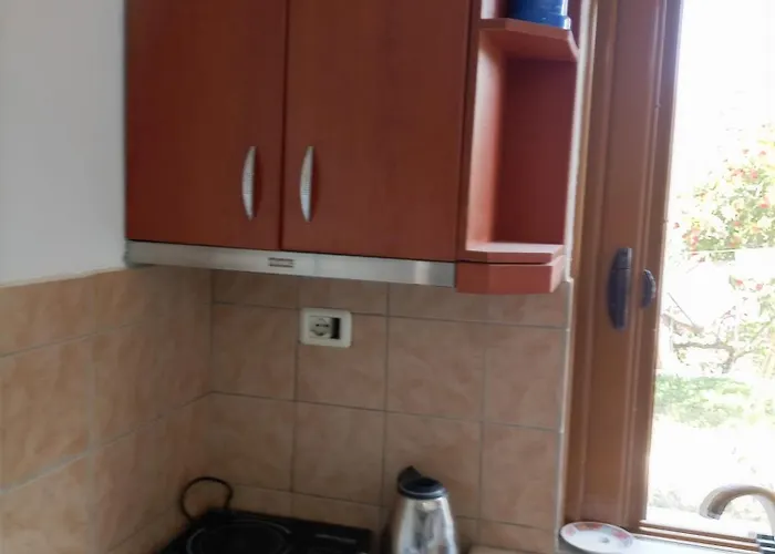 巴契公寓 公寓 *