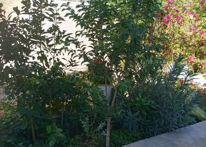 巴契公寓 * 卡萨米尔