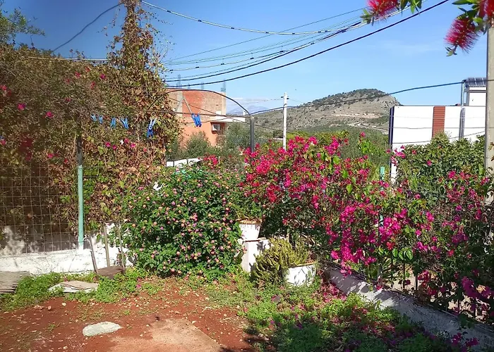 巴契公寓 公寓 *