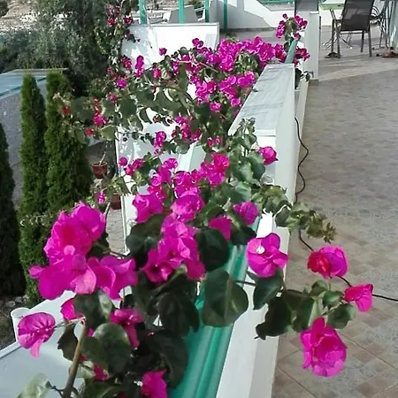 Apartament Baci Ksamil
